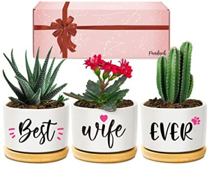 Wife Birthday Gifts, Valentines Gifts for Wife Her from Husband, Best Wife Succulent Pots, Unique Presents for Wife on Anniversary Wedding Christ