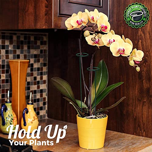 OAHAO 6 Pack Plant Stakes for Flowers, Metal Single Stem Plant Support, Plant Cage Support Ring with 10 pcs Plant Clips for Climbing Plants Garde