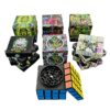 4 Spice Grinder Magic Cube