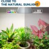 Barrina Grow Light Bulb with Timing and Hanging System, 25W led Lamp Full Spectrum, 4H/9H/14H Timer, led Grow Lights for Indoor Plants for Seedli