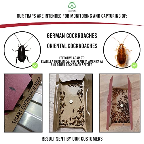 Pestmatic Smart Cockroach Trap x 15, Sticky Strong Glue Cockroach Trap with Food Bait, Roach Indoor Trap, Kraft Eco-Friendly & Natural Catcher fo