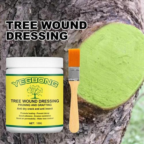 mein Plant Wound Pruning Sealer | Tree Pruning Cutting Paste | 100g Tree Wound Dressing with brush, Bonsai Wound Healing Agent, Plant Grafting an