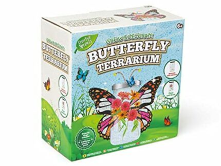 Creative Sprouts Butterfly Terrarium