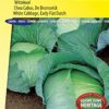 White Cabbage, Early Flat Dutch Brunswijker Vegetable Seeds per Gram - an Old and Trusted Variety (from 1880) for Sauerkraut and Fresh use - 1,2