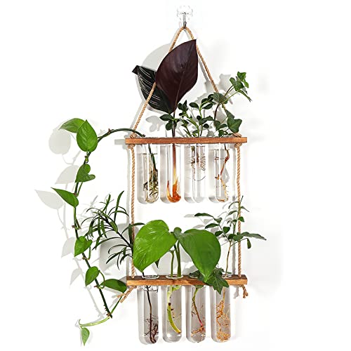 Plant Propagation Station, Qupzze Wall Hanging 2 Tiered Test Tubes Propagation Station with Wooden Stand, Propagation Planters Glass Tube for Hyd