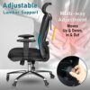 Duramont Ergonomic Office Chair - Adjustable Desk Chair with Lumbar Support and Rollerblade Wheels - High Back Chairs with Breathable Mesh - Thic