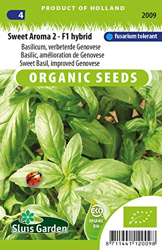 Basil, Improved Genovese - Vegetable Seeds
