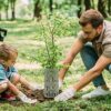 6PCS Tree Trunk Protectors, Adjustable Plastic Tree Guard Trunk Protection Cover for Trees, Plants, Saplings, Landscape Lights, Prevent Damage fr
