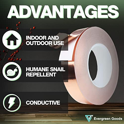 EVG 20mm x 25m Copper Slug Tape | Adhesive Copper Slug Snail Repellent | Slug Deterrent Barrier Tape | Humane Pest Control (2 Rolls)