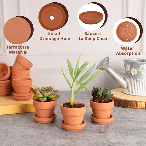 Belle Vous 16 Pack of Unfinished Terracotta Plant Pots & Saucers - 5.2cm/2 Inches - Clay Flowerpots/Planters with Drainage Hole for DIY Crafts &