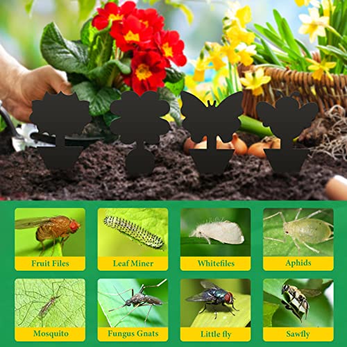 24pcs Fruit Fly Trap, Sticky Fruit Fly and Fungus Gnat Trap, Dual-Sided Fruit Fly Trap Bug Catcher for Protect Plants and Control Indoor Plant Bu
