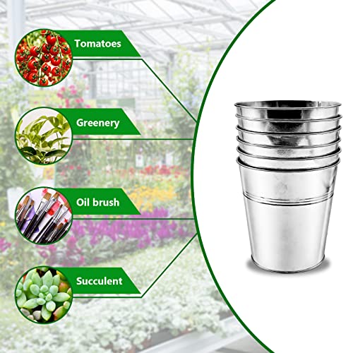 WAIZHIUA 12Pcs 12cm Metal Flower Pots Galvanised Iron Plant Pots Garden Planters Plant Container with Mini Tools for Plants Herb Flowers Shrubs I