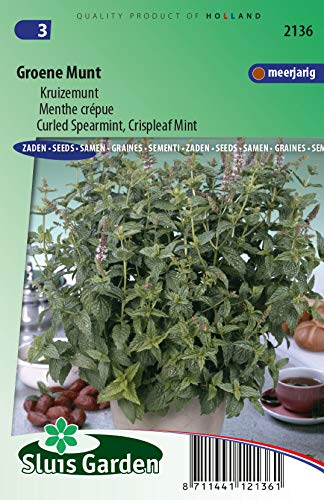 Spearmint Curled, Crispleaf Mint - Herb Seeds