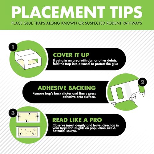 Spider Trap 30 Pack | Spiders And Crawling Insect Killer Traps