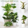 BECHOICEN Moss Pole, 2Pcs Coir Totem Pole Plant Support Totem Pole Moss Pole for House Plants Moss Pole for Cheese Plant with 20 Pieces Garden Ca