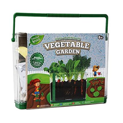 RMS International Children's Grow and Decorate Your Own Vegetable Garden - 6 Years+