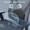 HUANUO Office Chair Ergonomic Desk Chair with 2D Adjustable Lumbar Support and Headrest, Armrest, Large Office Swivel Chair, Tilt Function Comput
