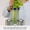 Sage BJE430SIL the Nutri Juicer Cold Fountain Centrifugal Juicer - Silver