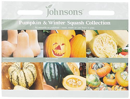Johnsons UK/JO/VC Pumpkin and Winter Squash Collection