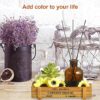 Biitfuu Wooden Succulent Planter Flower Herb Pot Indoor/Outdoor Home Garden Flower Decorative Container Storage Box 8.9 x 3.3 x 1.6inch