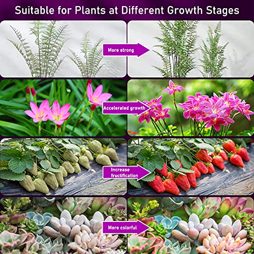 EWEIMA Grow Lights for Indoor Plants, 80 LEDs 4 Heads Full Spectrum Led Grow Light with Stand, Plant Light with 10 Dimming Level & Auto 4/8/12H T