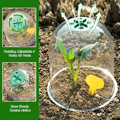 LATERN 6Pcs Garden Plant Cloche, 26cm x 20cm Plant Dome Bell Cover Reusable Plastic Mini Greenhouse for Warming Garden Soil Plants Frost Protect