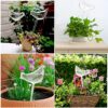 5 Pcs Bird Shape Plant Waterer Plastic Plant Watering Globes Self-Watering Bulbs Large Garden Watering Stakes Automatic Irrigation Device for Ind