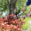 AIRAJ Lightweight Hedge Shears(600mm),with Ergonomic Lightweight Anti-Slip Handles and Razor-Sharp Blades,Professional Garden Shears for Hedges,