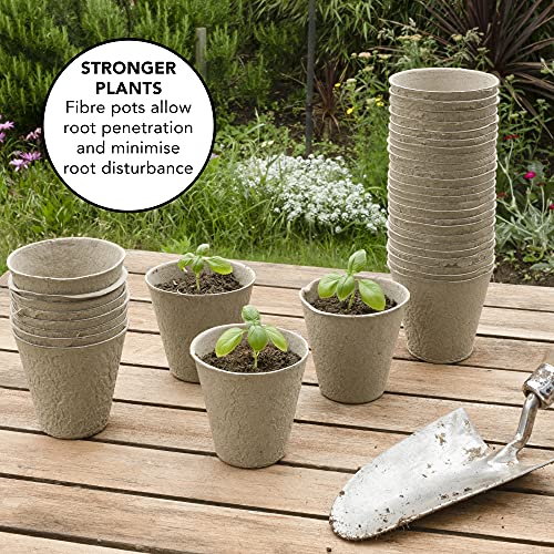 Little Chiltern Co 70 pack Biodegradable Plant Pots for growing Seeds - Round Fibre seedling pots for Outdoor Indoor Growing Plants - Seed starte