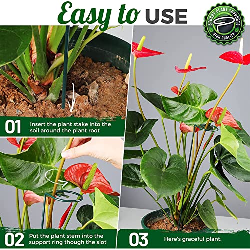 OAHAO 6 Pack Plant Stakes for Flowers, Metal Single Stem Plant Support, Plant Cage Support Ring with 10 pcs Plant Clips for Climbing Plants Garde