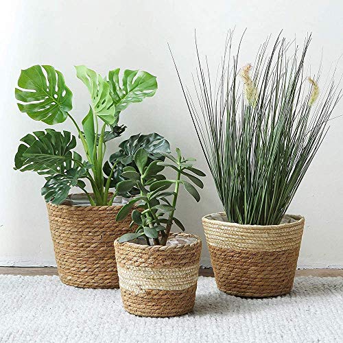 KAHEIGN 3Pcs Seagrass Planter Basket, 3 Size Woven Plant Pot Indoor Outdoor - Flower Pots Cover Storage Basket Plant Containers for Home Decor (B