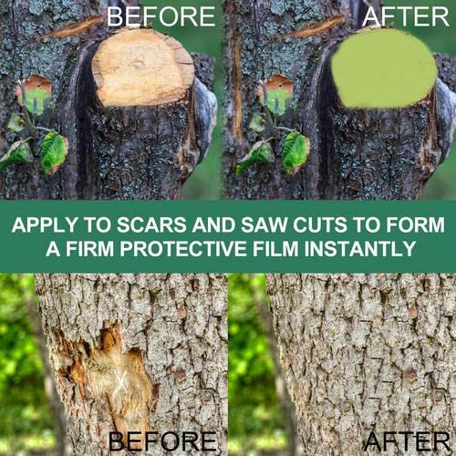 mein Plant Wound Pruning Sealer | Tree Pruning Cutting Paste | 100g Tree Wound Dressing with brush, Bonsai Wound Healing Agent, Plant Grafting an