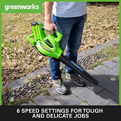 Greenworks GD40BVK2X Cordless Leaf Blow Vac with Brushless Motor, 280km/h, 9.63m³/min, 45L Mulching Bag , Two of 40V 2Ah Batteries & Charger, 3 Y