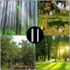 4pcs Tree Trunk Protectors, Plastic Spiral Tree Guards Trunk Protectors for Protecting Saplings Plants from Rodents Deer Rabbit Mowers (2 Sizes)