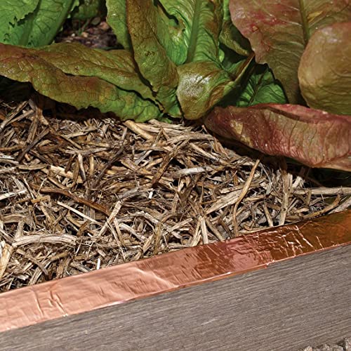 EVG 20mm x 25m Copper Slug Tape | Adhesive Copper Slug Snail Repellent | Slug Deterrent Barrier Tape | Humane Pest Control (2 Rolls)