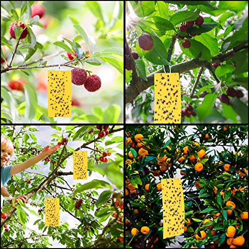 Dual-sided Fly Trap Sticky, 25Pcs Plant Fly Catcher, Board Fruit Fly Traps Sticker Insect Gnat Traps, Yellow Fly Stickers for Mosquitos, Flying A