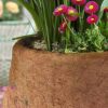 Ymopd Natural Coco Liner Roll - 11.7 * 78Inch Coconut Fiber Pad, Coconut Husk Liners Mat for Planters Baskets, DIY Moss Pole for Patio Containers