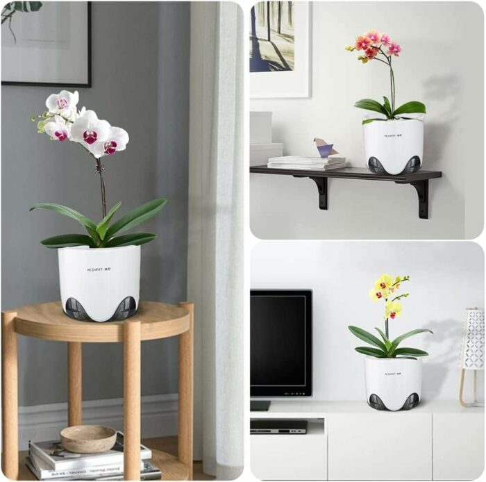 Meshpot 15 cm Orchid Pots with Holes,Set of 1,Double Layer Plastic Imitate Ceramic Orchid Planter Provide Good Air Circulation,Clear Orchid Pot M