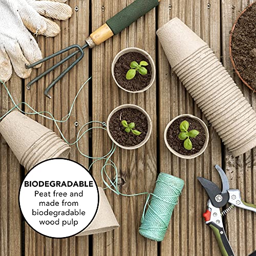 Little Chiltern Co 70 pack Biodegradable Plant Pots for growing Seeds - Round Fibre seedling pots for Outdoor Indoor Growing Plants - Seed starte
