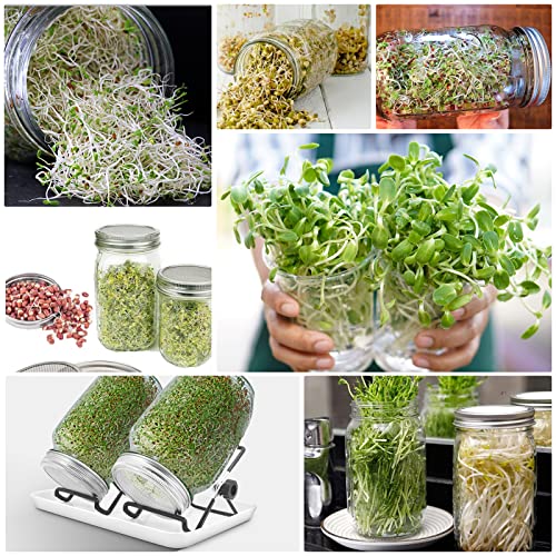 MoYouno Sprouting Jar Kit, 2Pcs Seed Sprouter Kit, Indoor Seed Sprouter,Sprout Growing Kit-with Tray,Stand, Sprout Lids,Wide Mouth Quart Mason Ja