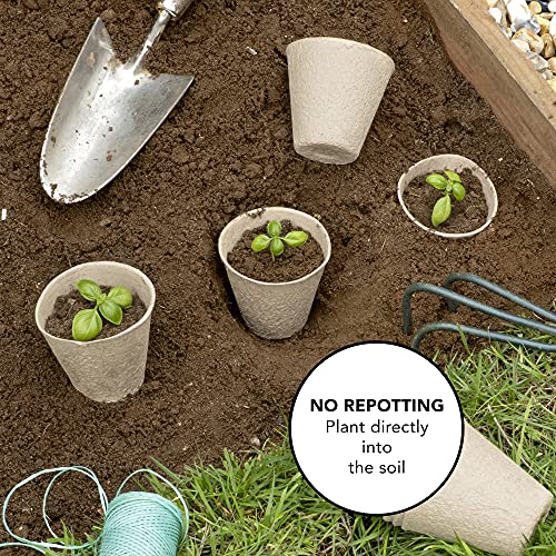 Little Chiltern Co 70 pack Biodegradable Plant Pots for growing Seeds - Round Fibre seedling pots for Outdoor Indoor Growing Plants - Seed starte