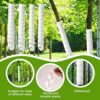 4pcs Tree Trunk Protectors, Plastic Spiral Tree Guards 2 Sizes Tree Bark Protectors for Protecting Saplings Plants from Rodents Deer Rabbit Mower