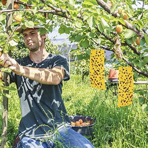 Dual-sided Fly Trap Sticky, 25Pcs Plant Fly Catcher, Board Fruit Fly Traps Sticker Insect Gnat Traps, Yellow Fly Stickers for Mosquitos, Flying A