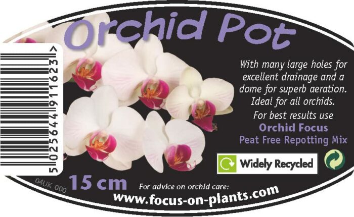 Clear Orchid Pot 15 cm