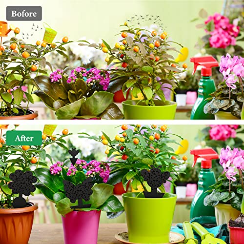 24pcs Fruit Fly Trap, Sticky Fruit Fly and Fungus Gnat Trap, Dual-Sided Fruit Fly Trap Bug Catcher for Protect Plants and Control Indoor Plant Bu