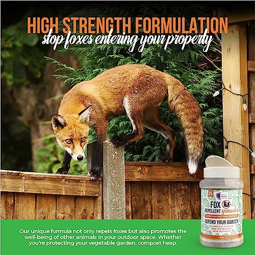 Fox Repellent Granules For Gardens | Anti-Fouling & Digging | Natural Deterrent | 400g