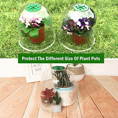 LATERN 6Pcs Garden Plant Cloche, 26cm x 20cm Plant Dome Bell Cover Reusable Plastic Mini Greenhouse for Warming Garden Soil Plants Frost Protect
