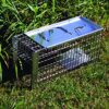 The Big Cheese Rat Cage Trap - Humane Rat Trap, Indoors and Outdoors, Catch Alive, Long lasting Rust Resistent, Silver