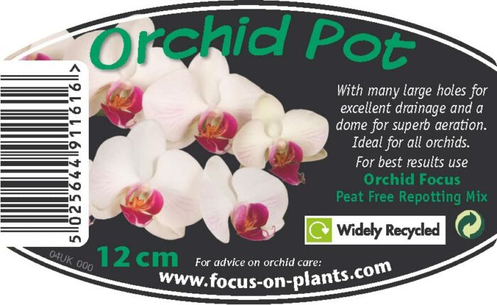 Clear Orchid Pot 12cm