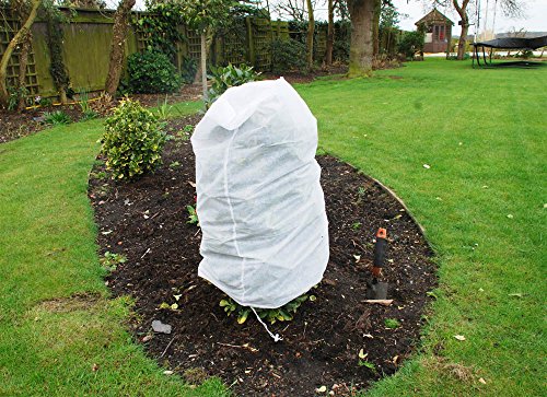 Kingfisher Frost Protection Fleece Jacket 2 pack